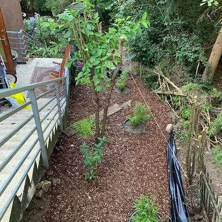 Apartamento Ferienwohnung Waldblick *